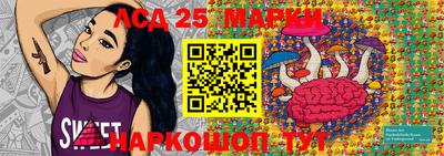 гашик Берёзовский