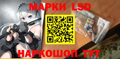 гашик Берёзовский