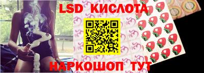 гашик Берёзовский