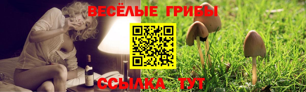 Псилоцибиновые грибы мухоморы  Вход с VPN  Ирбит  Галлюциногенные грибы Psilocybe 